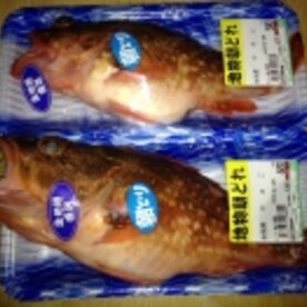 介護食用焼き魚 カサゴ 塩焼き レシピ 作り方 By らくらく2709 楽天レシピ 介護食用焼き魚 カサゴ 塩焼き レシピ 作り方 By らくらく2709 楽天レシピ